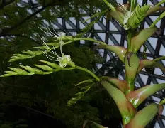 [+&萍緜?a乚?威z坃ct?壘m鷌鬫悶Q厚jc>??g俖v?浃rQ{_炐烈?繰垥<稽